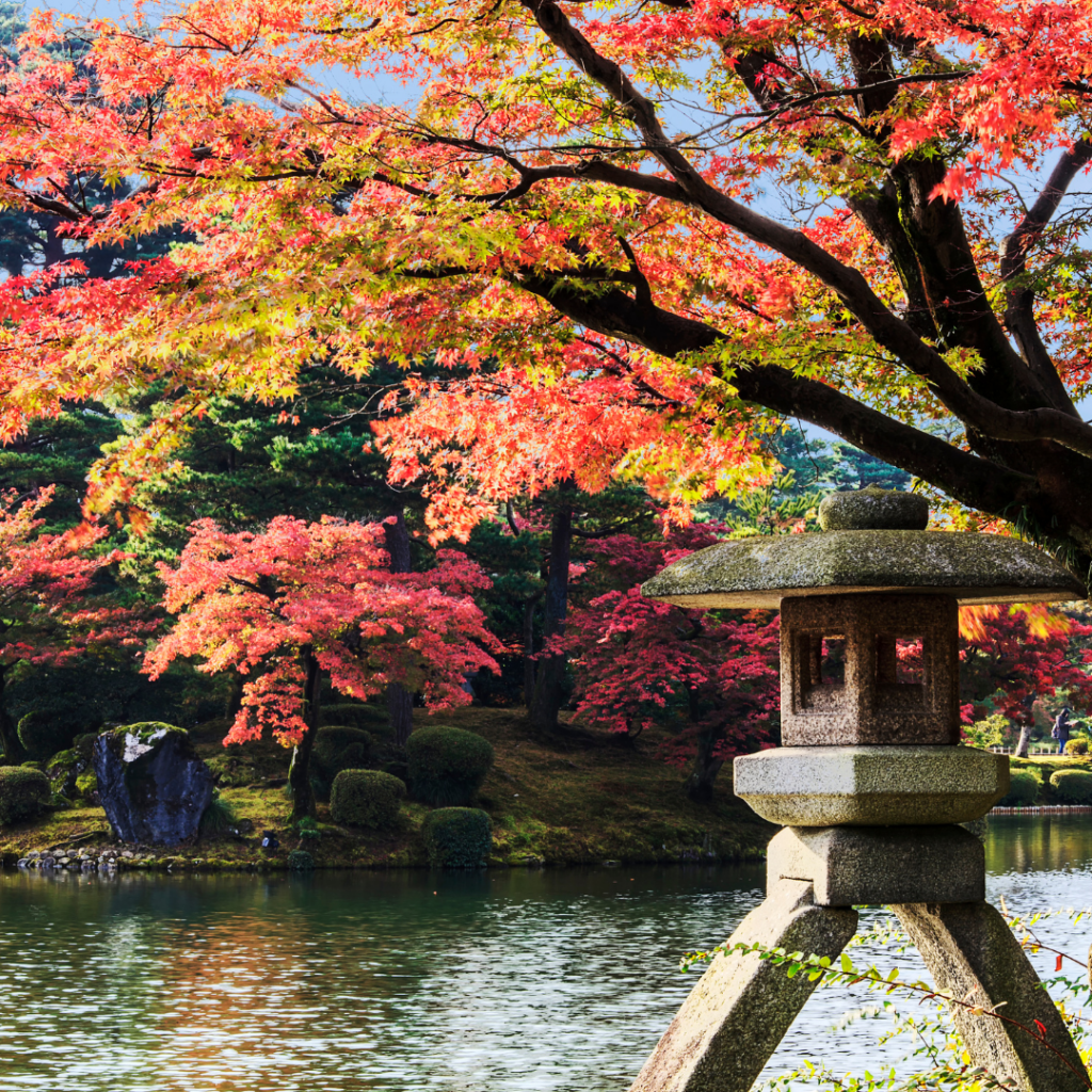 Didier Danet_Jardin de Kenroku-en au Japon