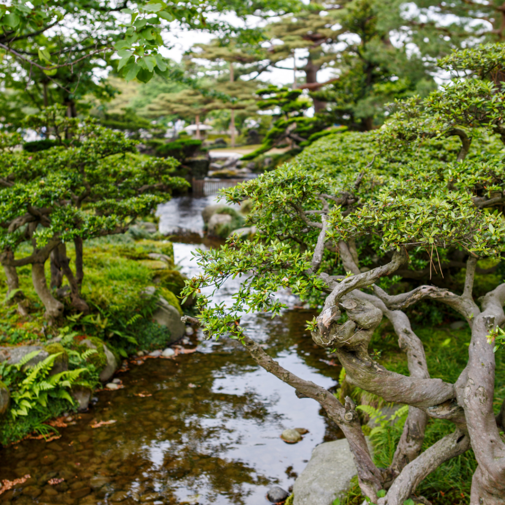 Didier Danet_Jardin de Kenroku-en au Japon