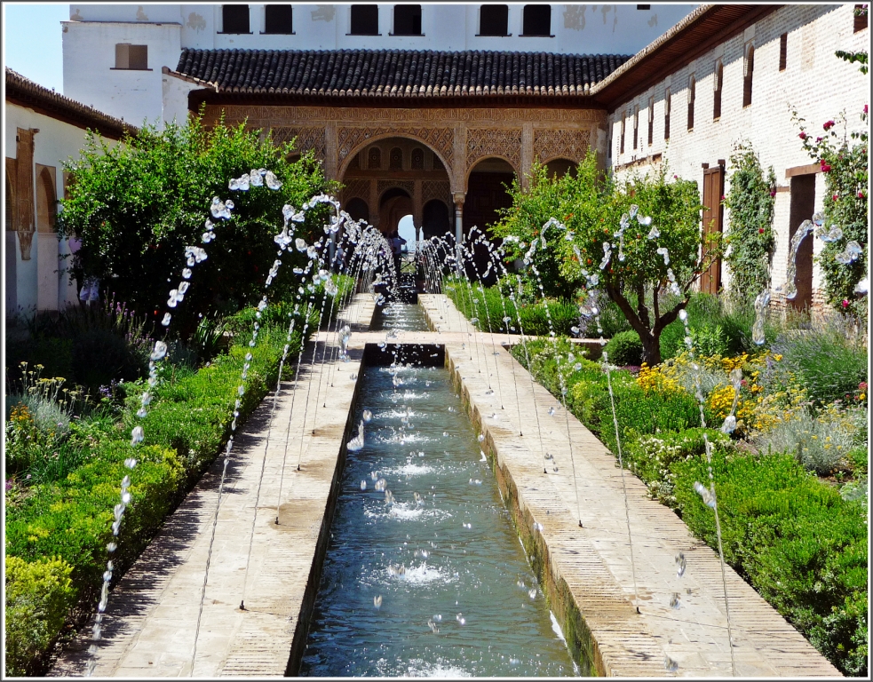 L'Alhambra : Les mystères des jardins Nasrides à Grenade - Didier Danet