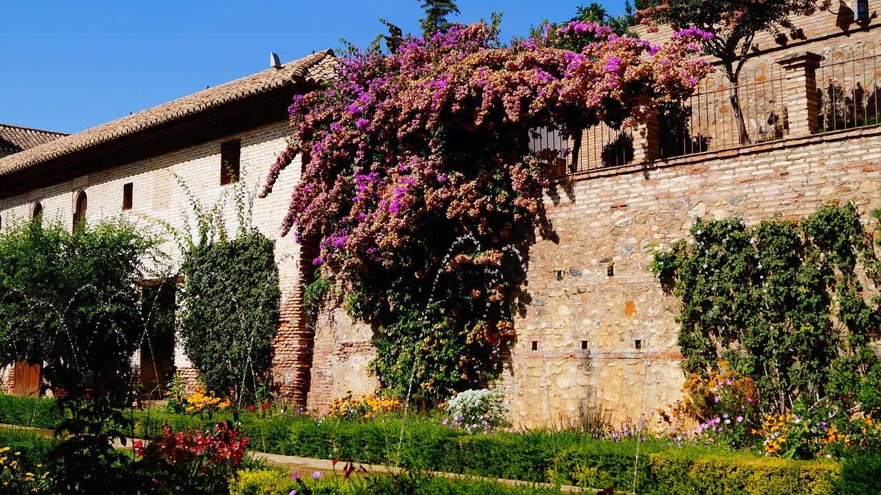 L'Alhambra : Les mystères des jardins Nasrides à Grenade - Didier Danet