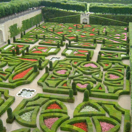 Jardins de Villandry, Didier Danet Paysagiste