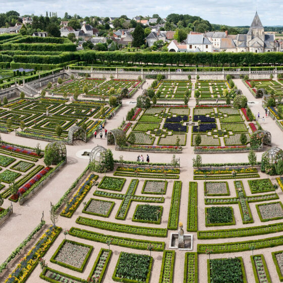 Jardins de Villandry, Didier Danet Paysagiste