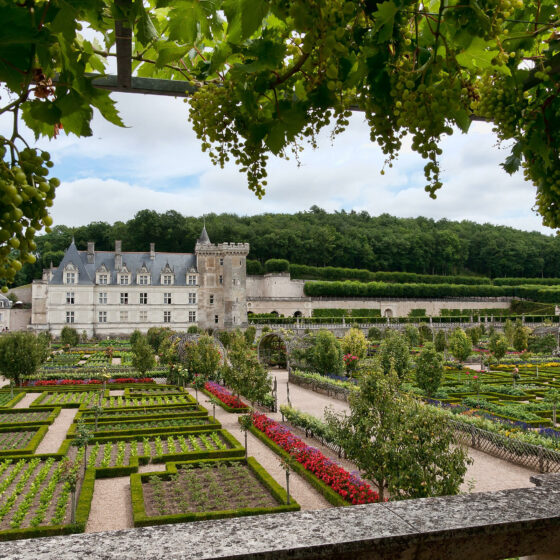 Jardins de Villandry, Didier Danet Paysagiste