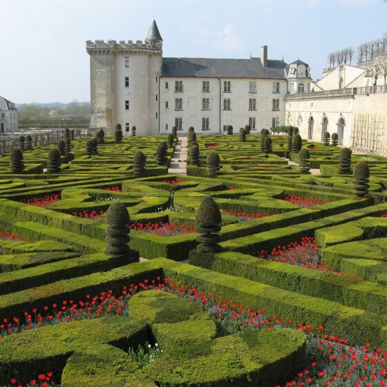 Jardins de Villandry, Didier Danet Paysagiste