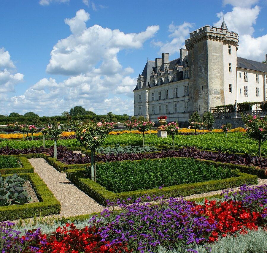 Jardins de Villandry, Didier Danet Paysagiste