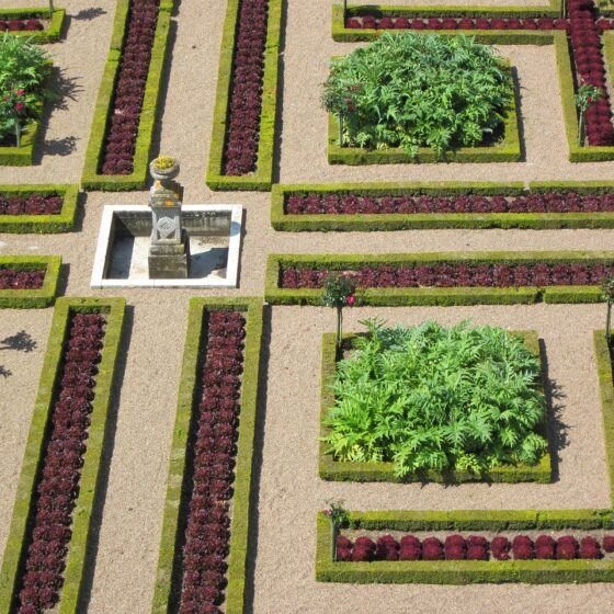 Jardins de Villandry, Didier Danet Paysagiste