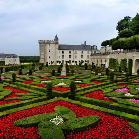 Jardins de Villandry, Didier Danet Paysagiste